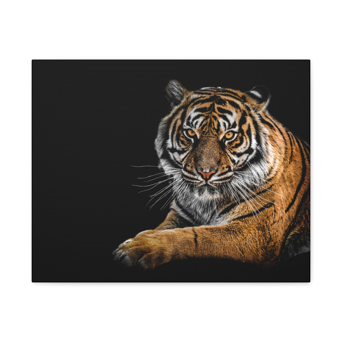 Majestic Tiger Canvas Art, Perfect for Animal Lovers, Home Decor, Gift for Wildlife Enthusiasts, Modern Wall Art, 1.25" Depth