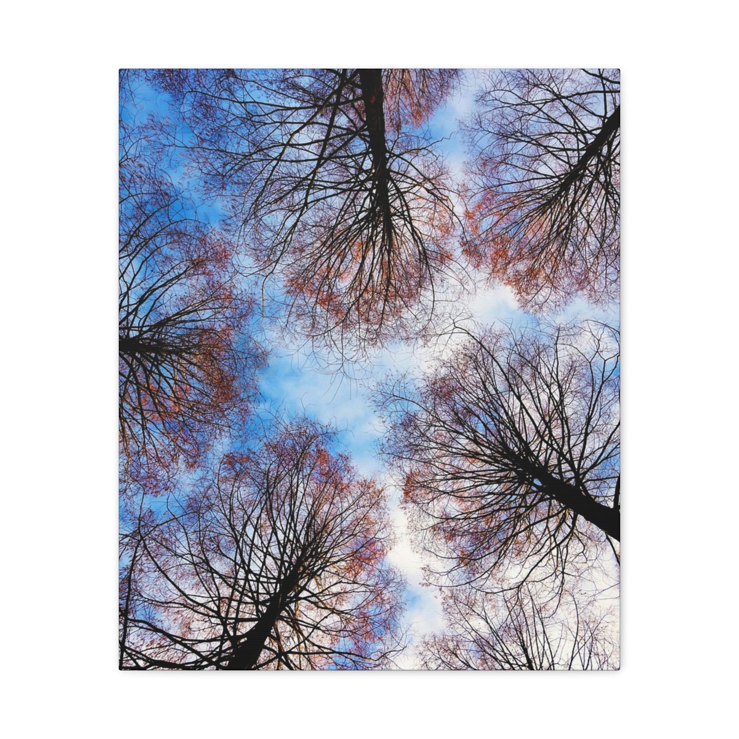Winter Tree Canopy Matte Canvas Wall Art — Stretched 1.25"