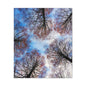 Winter Tree Canopy Matte Canvas Wall Art — Stretched 1.25"