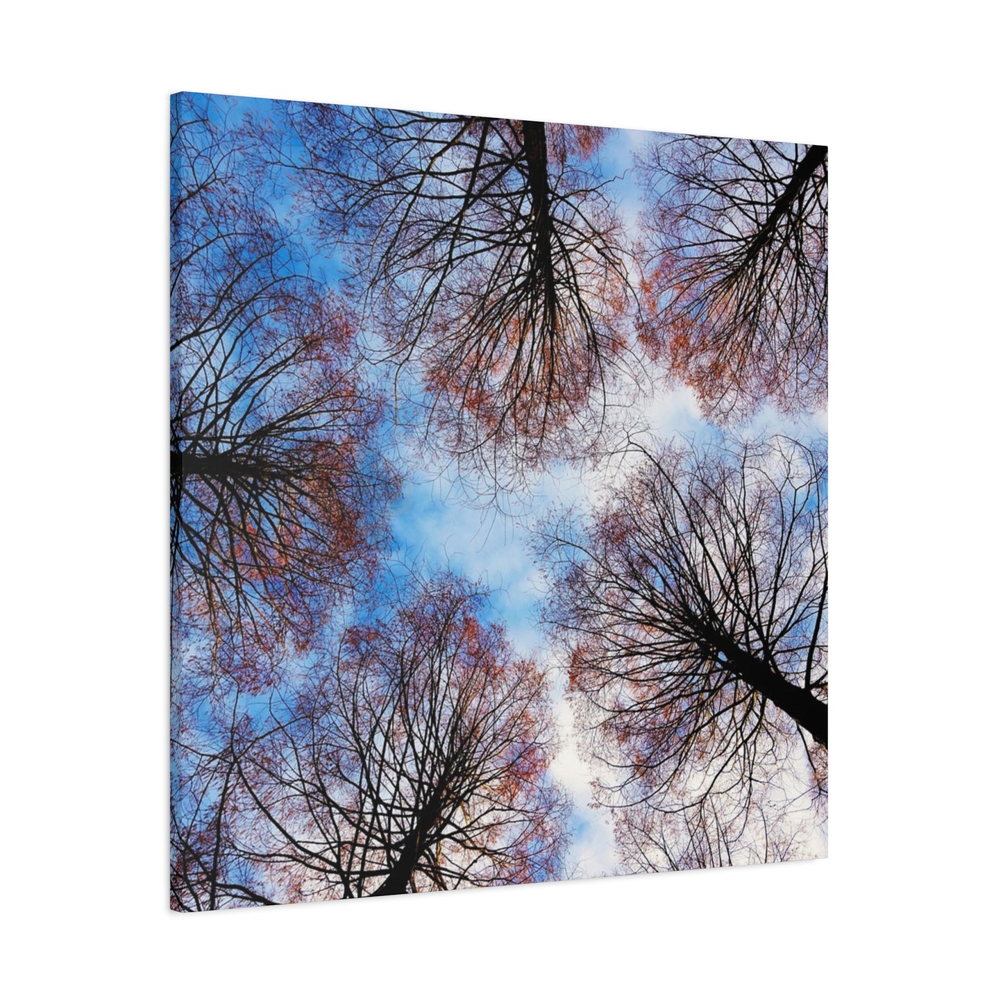 Winter Tree Canopy Matte Canvas Wall Art — Stretched 1.25"