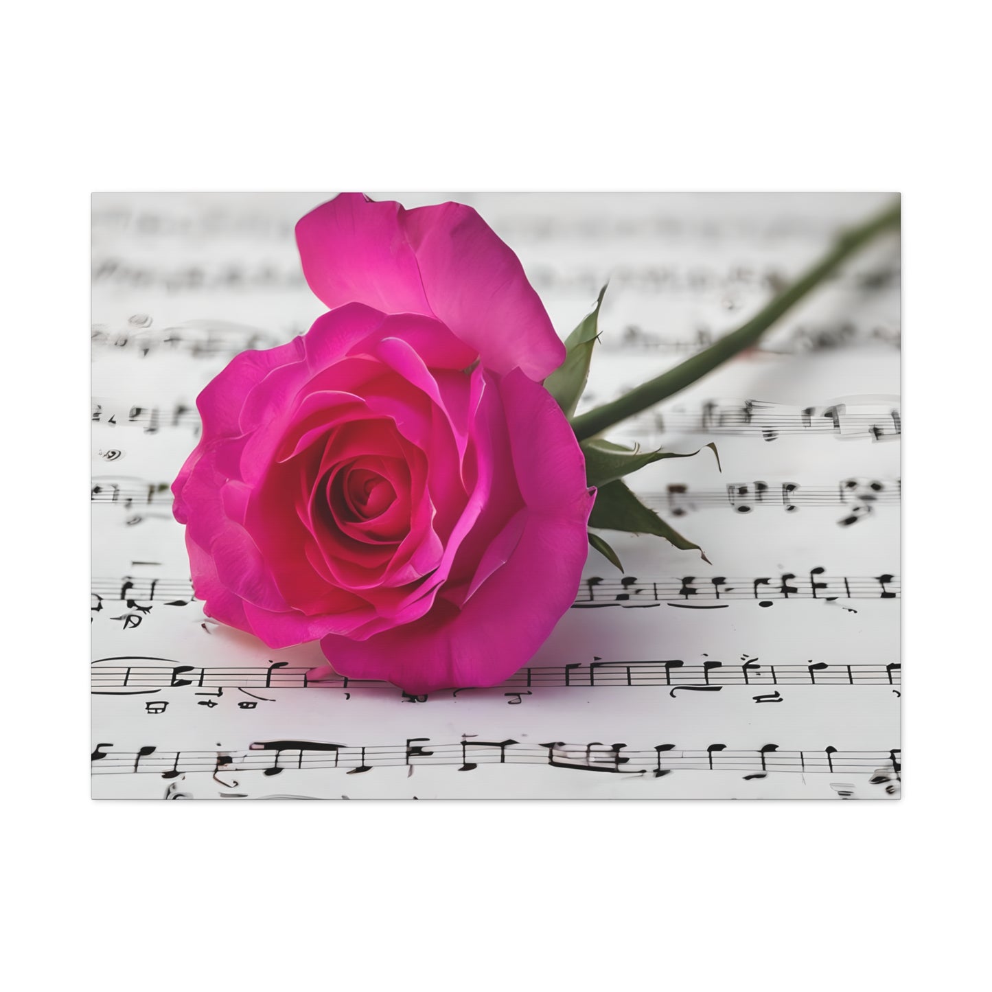 Stretched Canvas Art Print, Classic Rose on Sheet Music, Floral Wall Decor, Home Decoration, Gift for Music Lovers