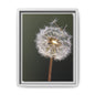 Framed Dandelion Canvas Print — Matte Botanical Wall Art