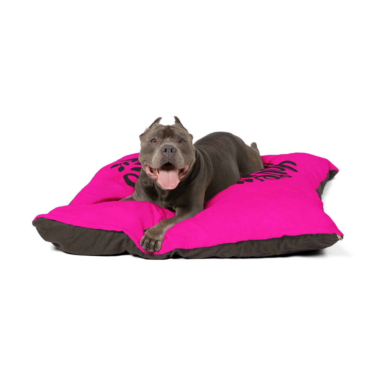 Pet Bed — "Love Has Four Paws" Fuchsia Plush Dog & Cat Bed