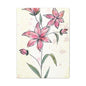 Matte Canvas, Stretched, 1.25" Tulips Pink Flowers