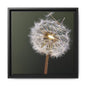 Framed Dandelion Canvas Print — Matte Botanical Wall Art