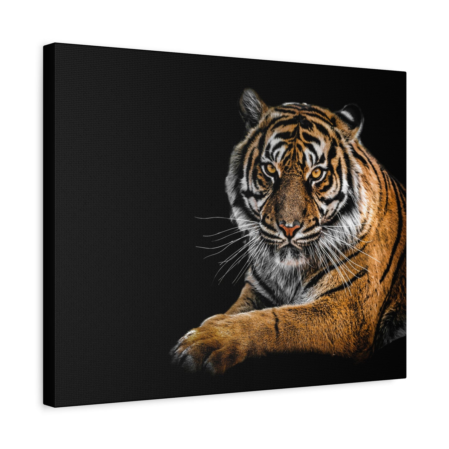 Majestic Tiger Canvas Art, Perfect for Animal Lovers, Home Decor, Gift for Wildlife Enthusiasts, Modern Wall Art, 1.25" Depth
