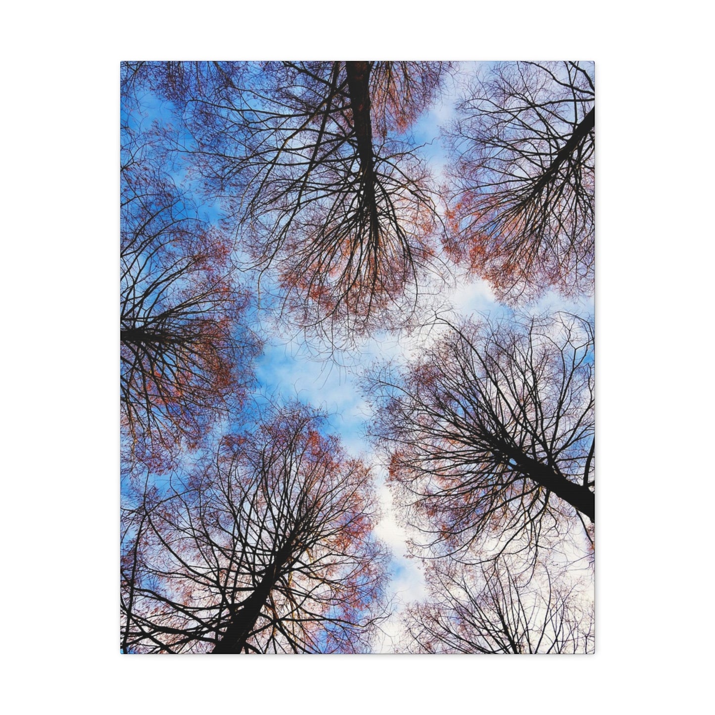 Winter Tree Canopy Matte Canvas Wall Art — Stretched 1.25"