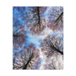 Winter Tree Canopy Matte Canvas Wall Art — Stretched 1.25"