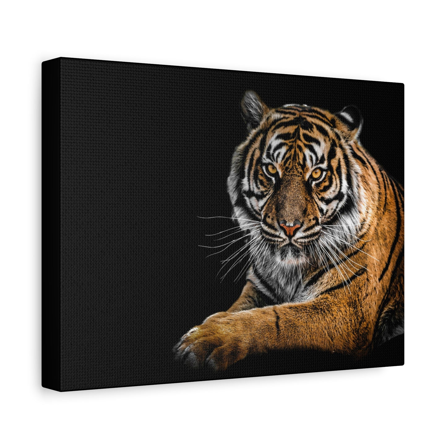 Majestic Tiger Canvas Art, Perfect for Animal Lovers, Home Decor, Gift for Wildlife Enthusiasts, Modern Wall Art, 1.25" Depth