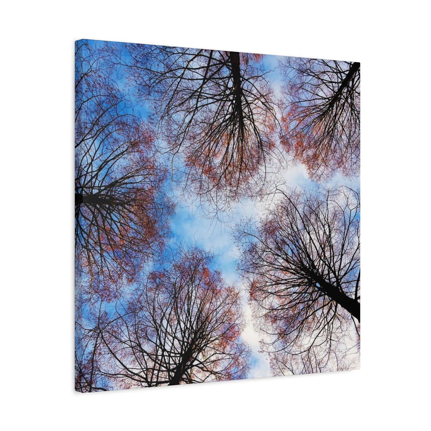 Winter Tree Canopy Matte Canvas Wall Art — Stretched 1.25"