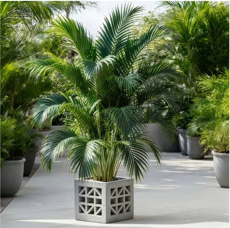 1 Large Outdoor Artificial Palm Tree For Both Indoor And Outdoor Use, Featuring Heat-Resistant, Windproof