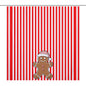 Christmas Shower Curtain